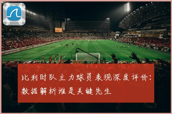 比利时队主力球员表现深度评价:数据解析谁是关键先生