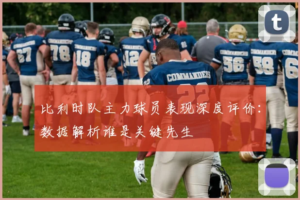 比利时队主力球员表现深度评价:数据解析谁是关键先生