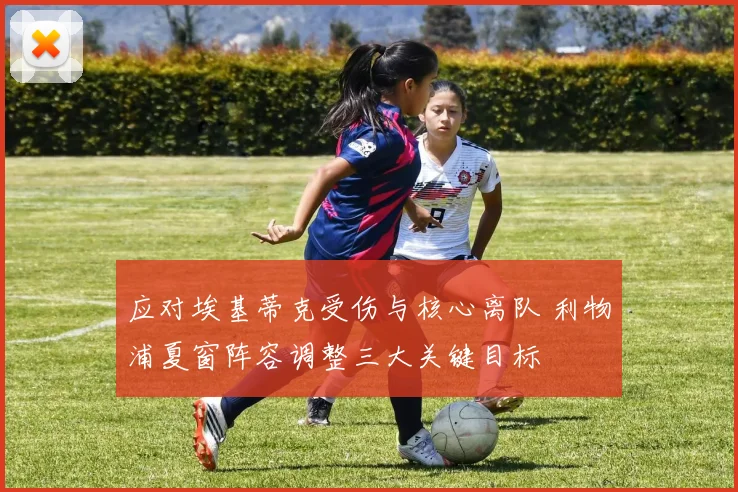 应对埃基蒂克受伤与核心离队 利物浦夏窗阵容调整三大关键目标